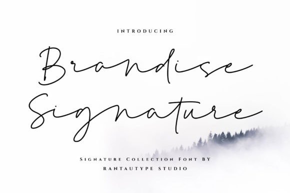Brandise Signature Font: Elevating Small Business Branding