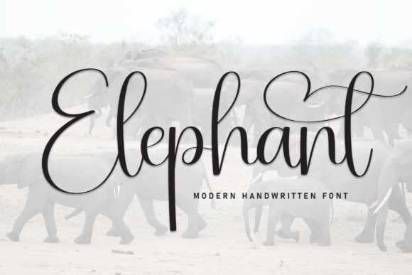 Elephant Font Review: Elegant Handwritten Script for Branding