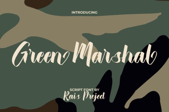 Green Marshal: A Designer’s Take on Real-World Use
