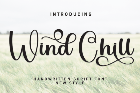 Wind Chill Font Review for Web Design Layouts